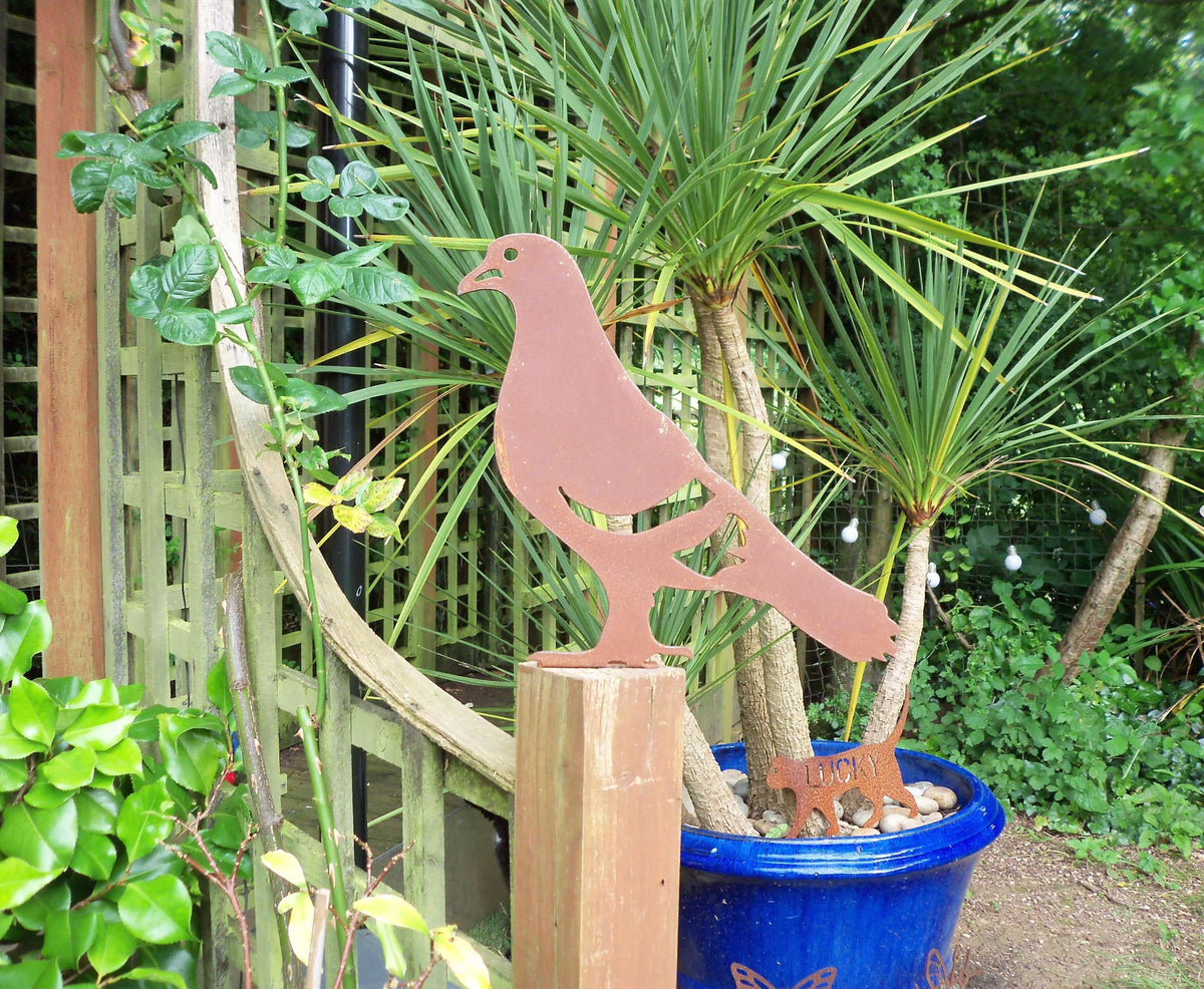 Rusty Steel PIGEON Garden Ornament displayed in a garden near a potted plant and wooden fence.