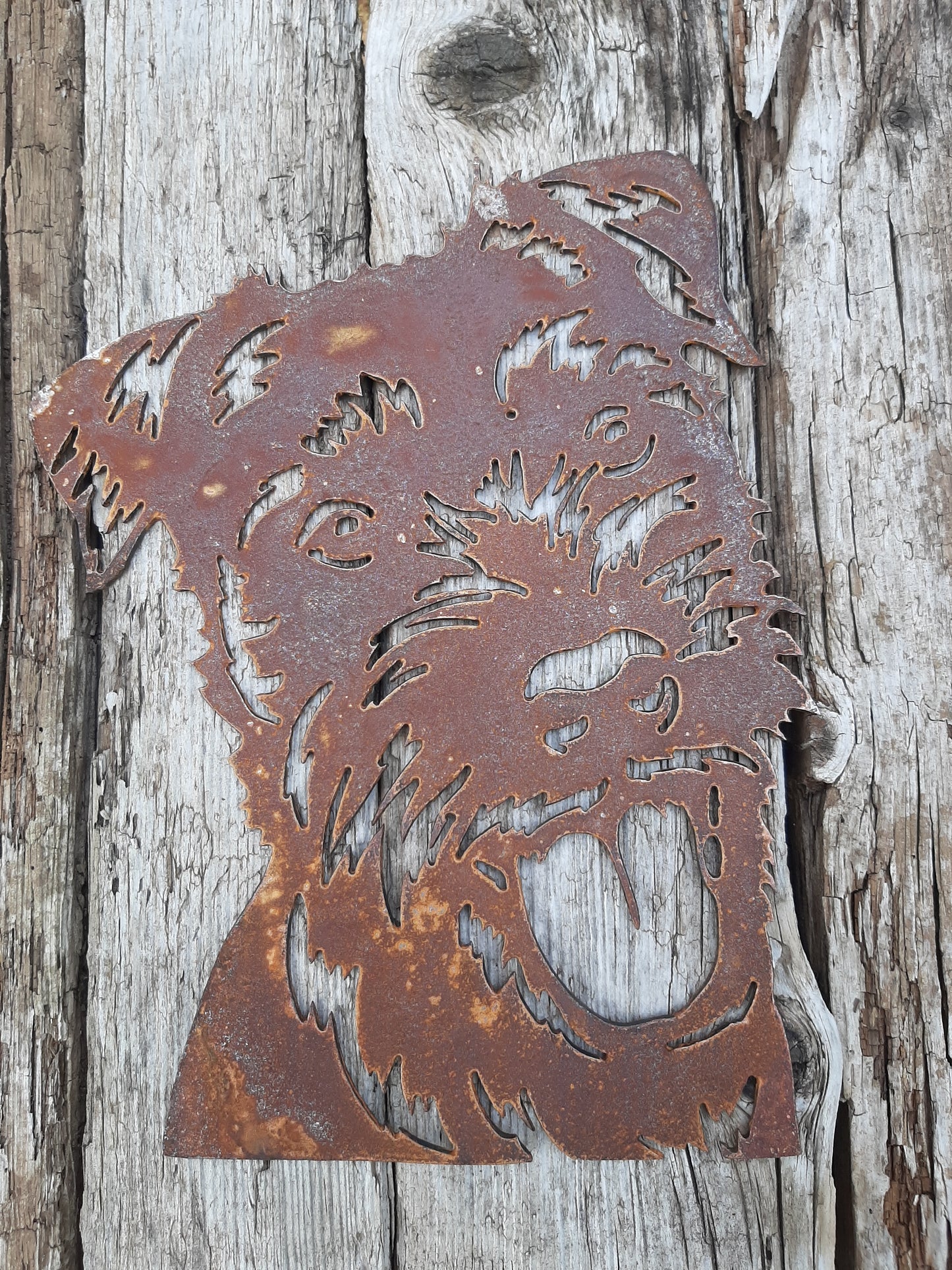 Rusty Metal PATTERDALE TERRIER DOG Face Garden Ornament. Rustic Garden Decor. Metal Garden Dog Decoration. Rusted Steel Garden Art. Vintage.