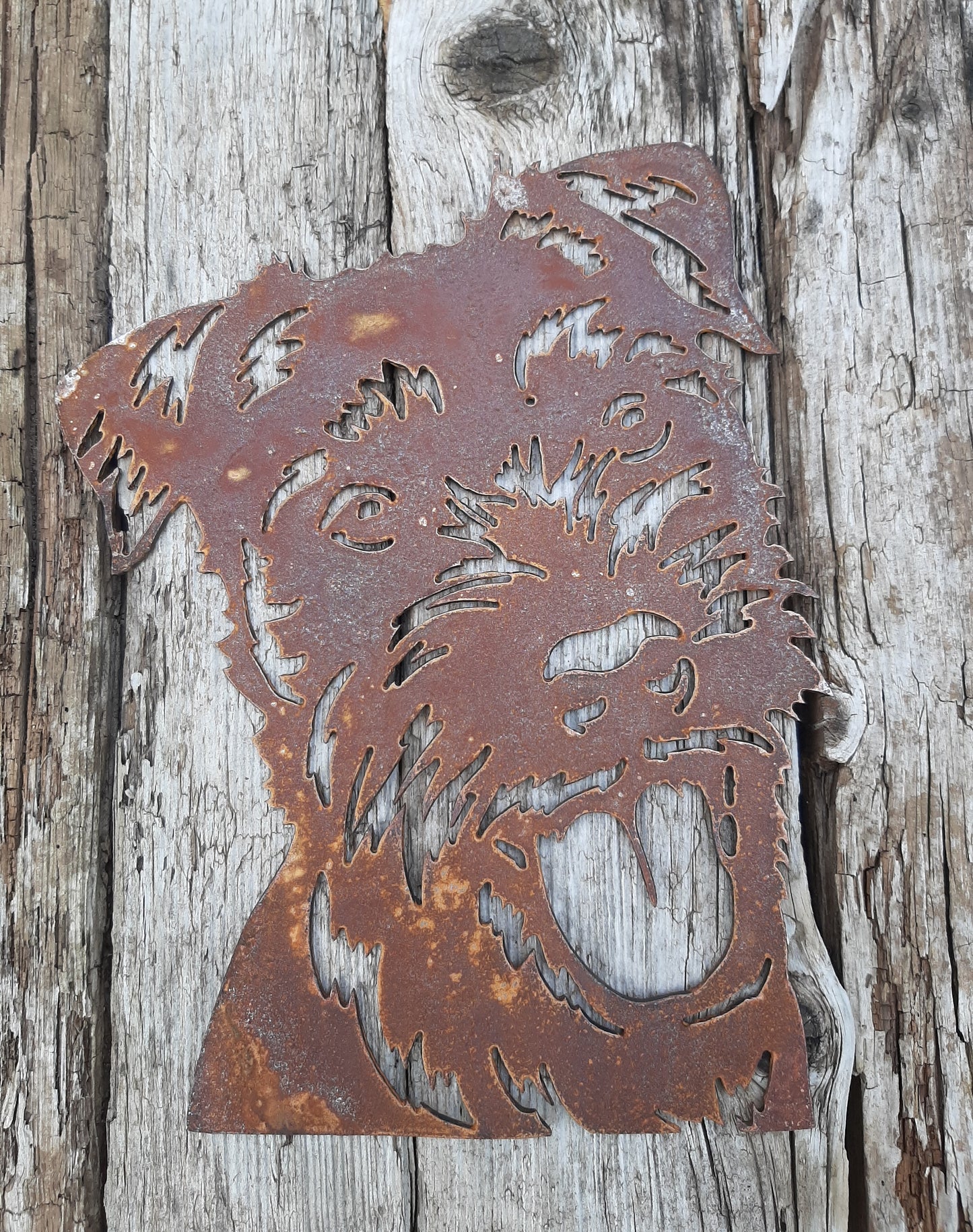 Rusty Metal PATTERDALE TERRIER DOG Face Garden Ornament. Rustic Garden Decor. Metal Garden Dog Decoration. Rusted Steel Garden Art. Vintage.