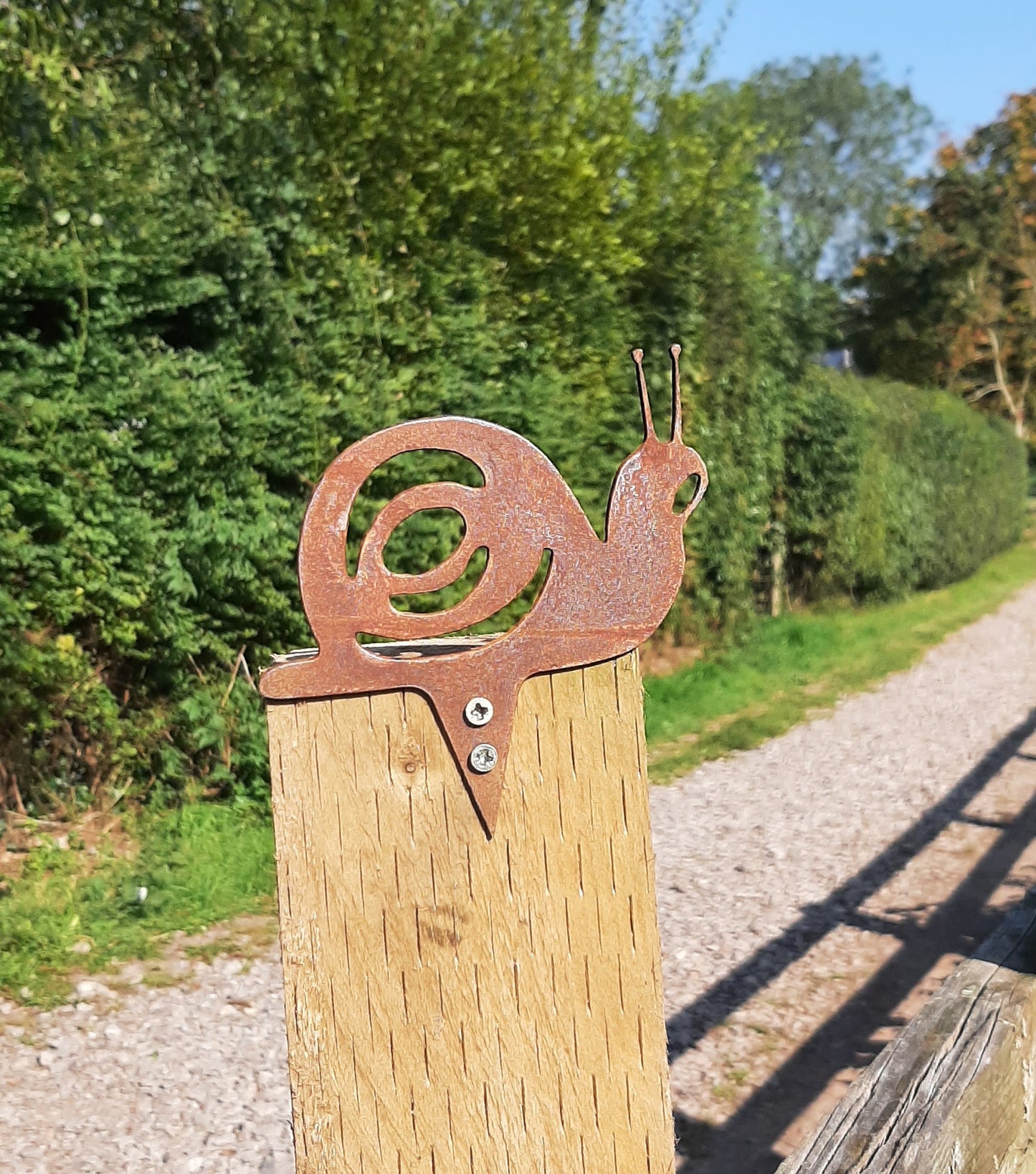 Rusty metal snail post topper ornament beside a hedge, made from rusted 2mm steel for a vintage look.