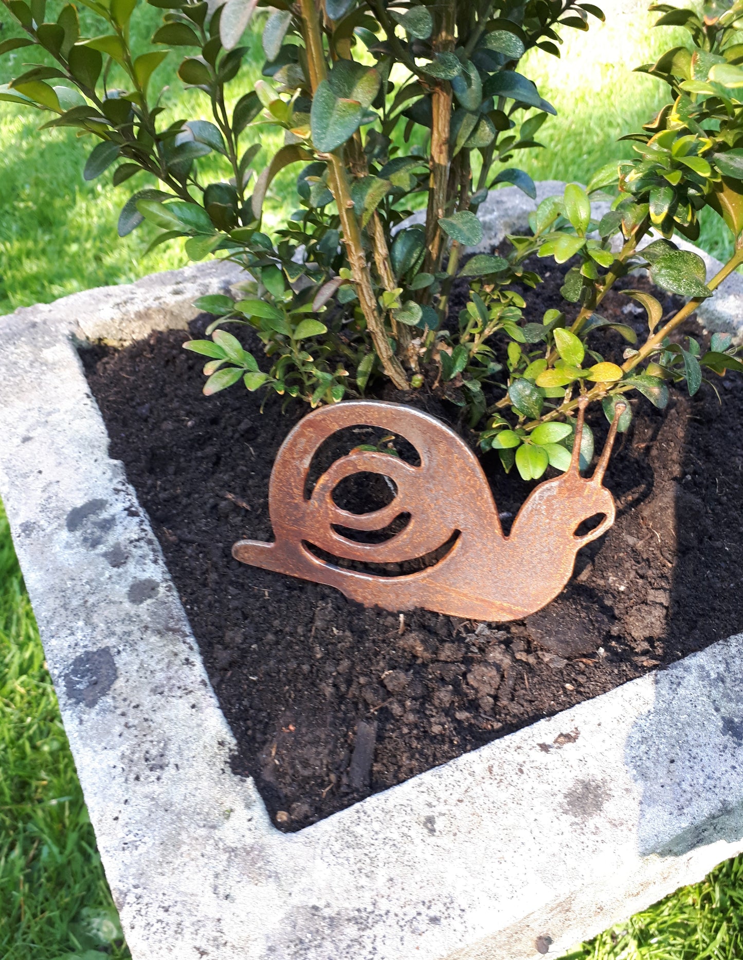 Rusty metal snail garden ornament with pot spike in a stone plant pot, unique patina effect.