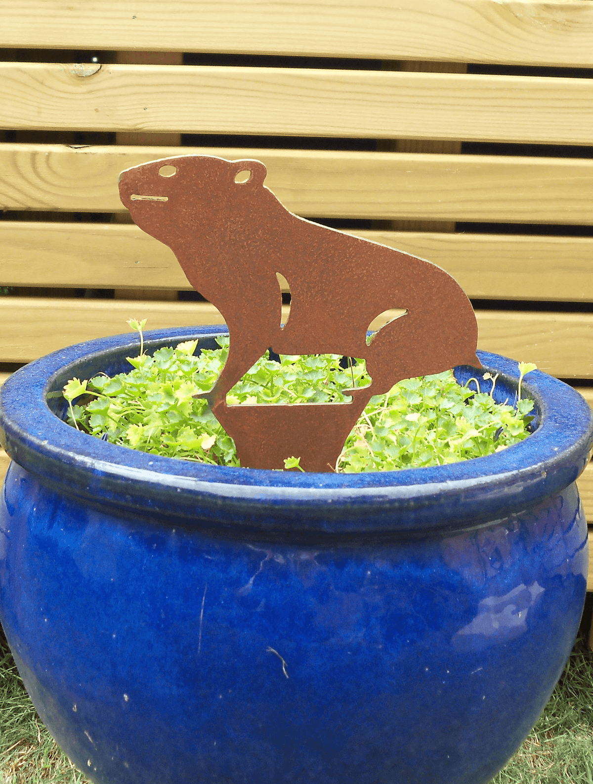 Rusty Steel HAMSTER Garden Ornament atop a potted plant in blue garden pot, adding rustic charm to outdoor decor.