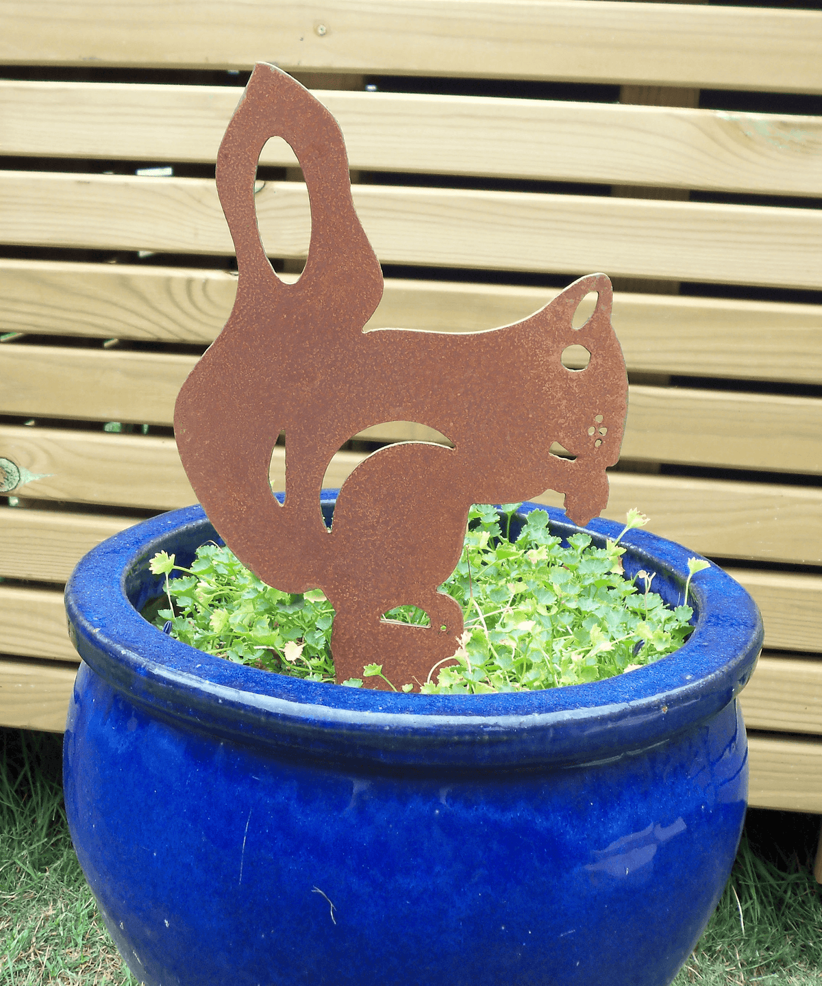 Rusty Steel Squirrel Garden Ornament in a blue pot, adding charm to a garden or outdoor space.