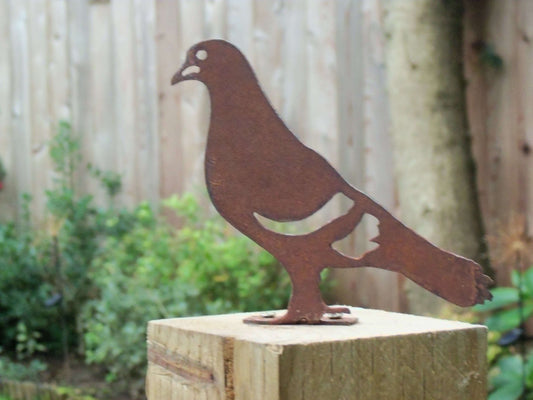 Rusty Metal PIGEON Bird Garden Ornament. Rustic Fence Post Topper. Metal Garden Pigeon Decoration. Rusted Steel Garden Art. Birthday Gift.