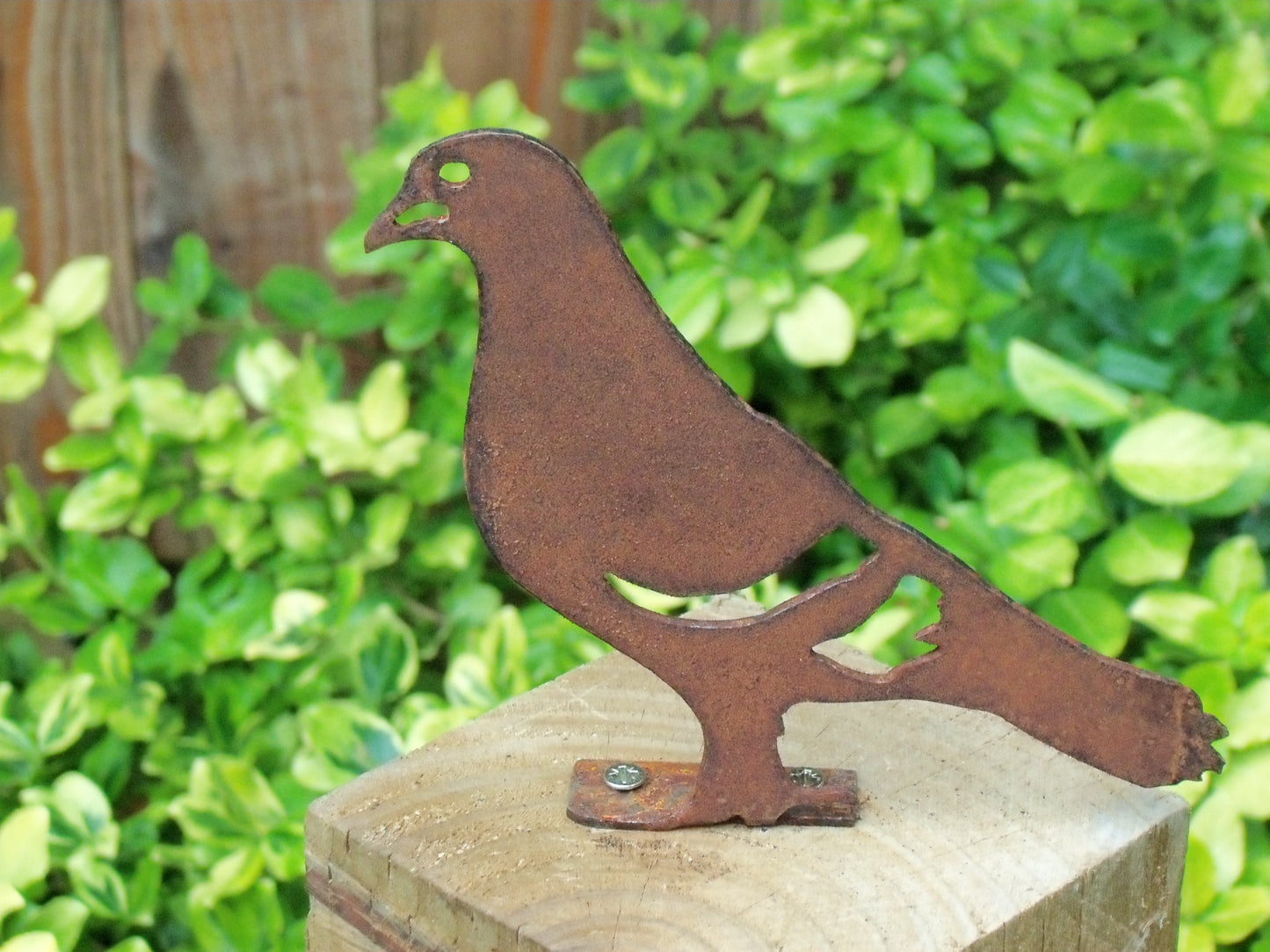 Rusty Metal PIGEON Bird Garden Ornament. Rustic Fence Post Topper. Metal Garden Pigeon Decoration. Rusted Steel Garden Art. Birthday Gift.