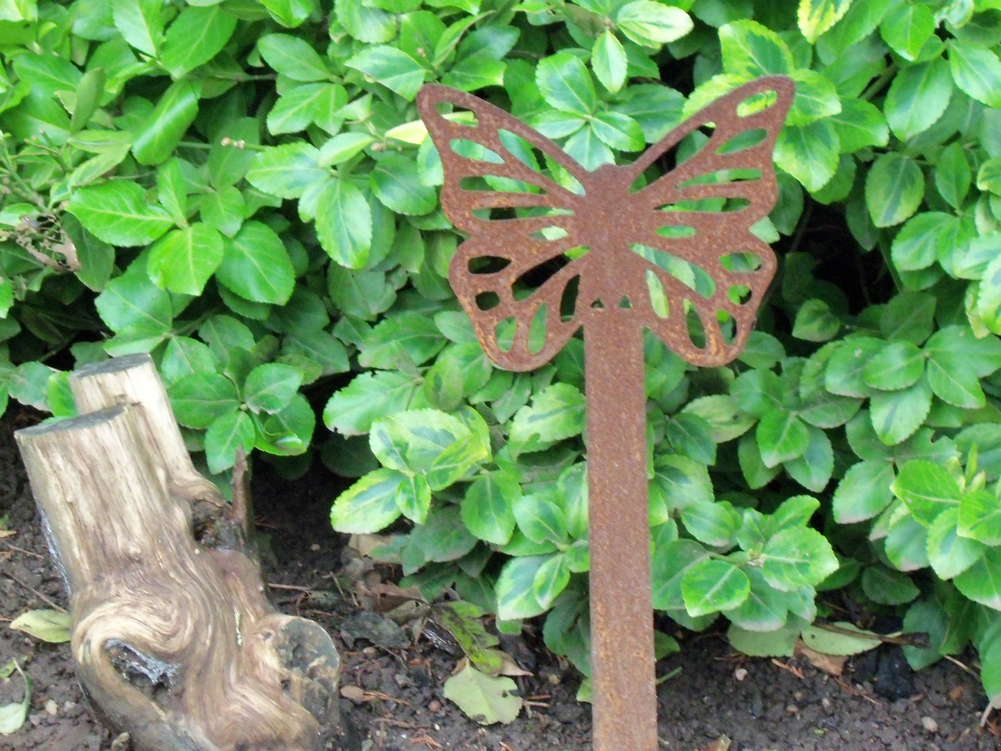 Rusty Metal BUTTERFLY Garden Stake. Rustic Plant Pot Ornament. Metal Garden Butterfly Decoration. Rusted Steel Garden Art. Birthday Gift.