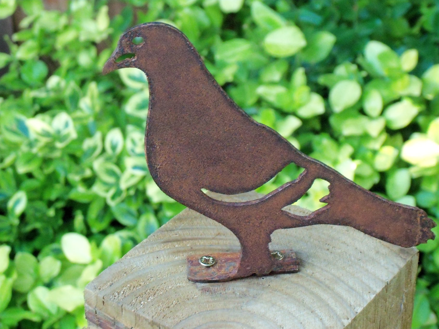 Rusty Metal PIGEON Bird Garden Ornament. Rustic Fence Post Topper. Metal Garden Pigeon Decoration. Rusted Steel Garden Art. Birthday Gift.