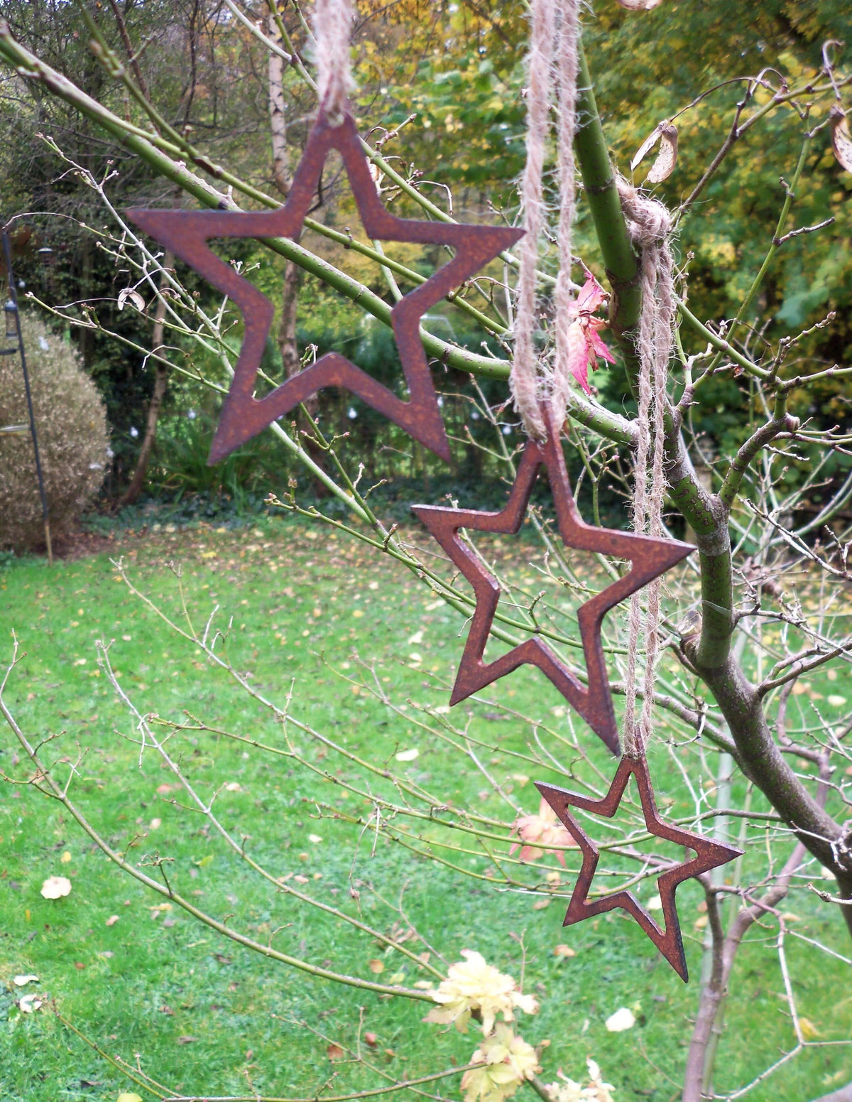 Rustic Steel Star Garden Gift Set - Rusty small stars with hanging holes garden ornaments displayed on a twig with ribbon