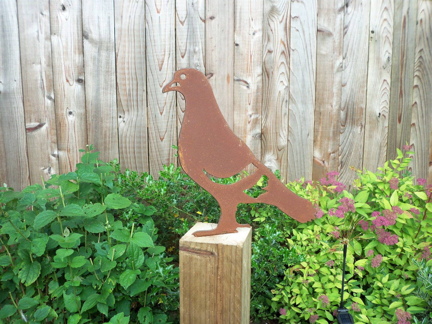 Rustic metal pigeon post topper by garden shrubs, made from 2mm thick steel, unique variations in the patina.