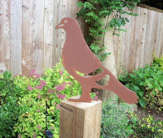 Rustic metal large pigeon garden fence post topper decoration on a post with green plants, unique patina effect.