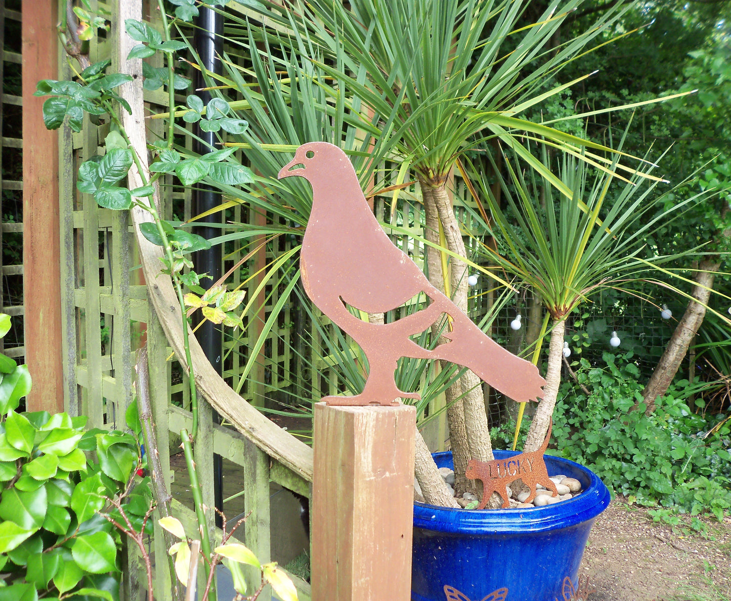 Rusted metal large pigeon garden decoration with a blue plant pot backdrop, perfect garden gift for bird lovers.