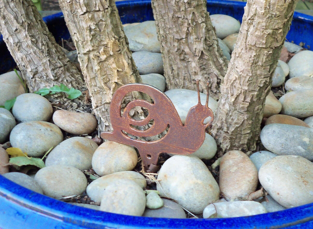 Rusty Steel Snail Garden Ornament nestled in pebbles around tree trunks in a blue pot.