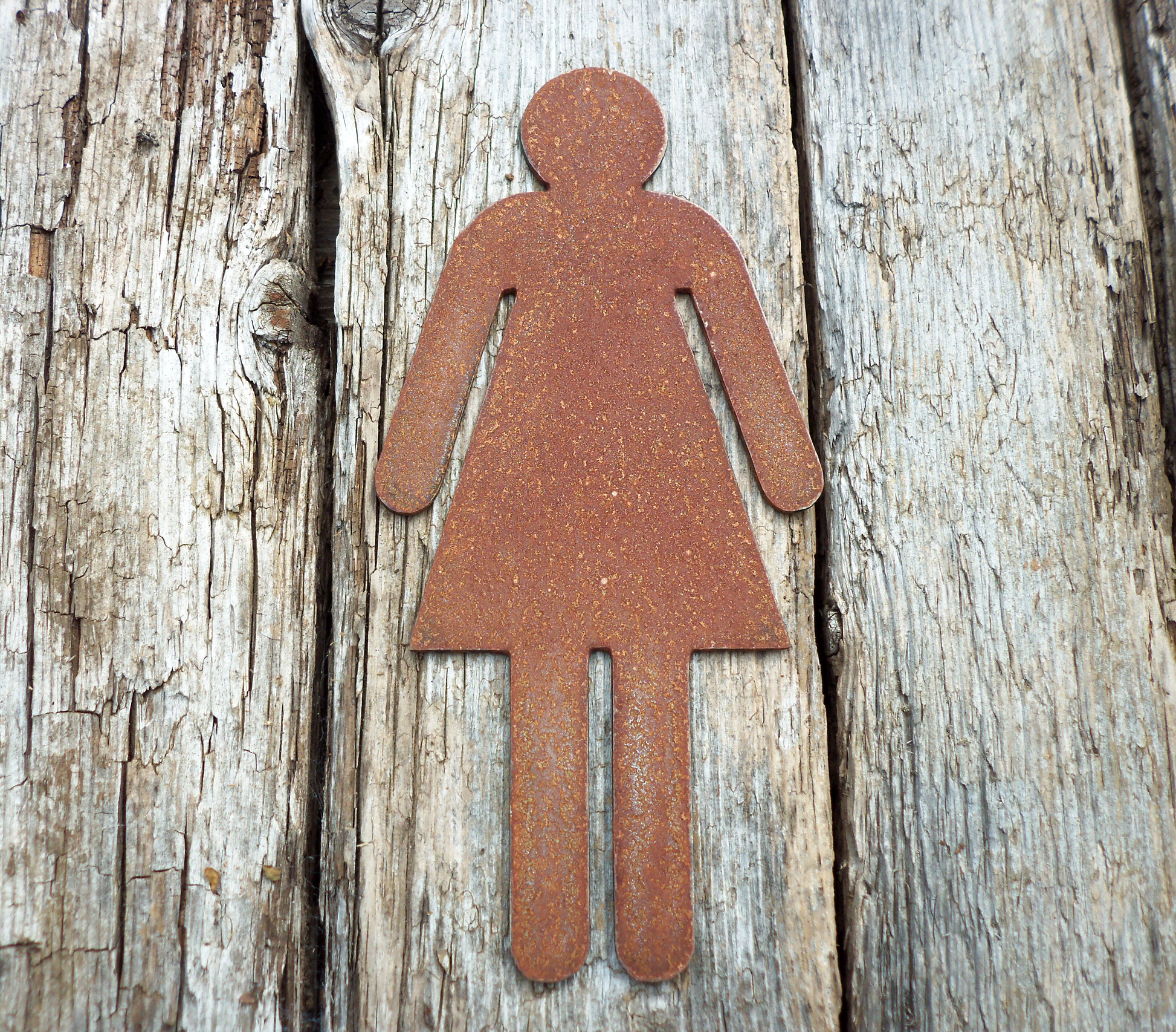 Rustic Metal WC Toilet Door Signs - female symbol on a wooden background