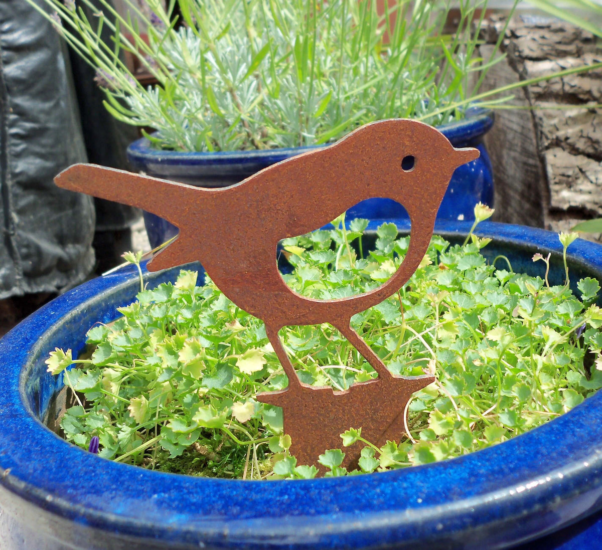 Rusty Steel Robin Garden Ornament standing in a blue pot with green plants, showcasing rustic metal garden art.