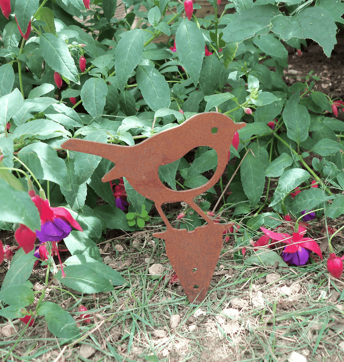 Rusty Steel Robin Garden Ornament among colorful garden flowers, showcasing rustic metal charm in outdoor decor.