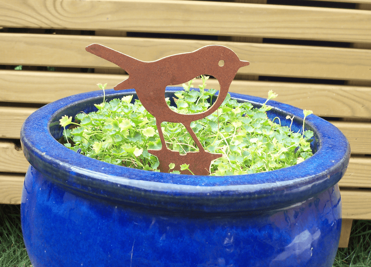 Rusty Steel Robin Garden Ornament placed in a blue pot with green plants, adding rustic charm to the garden.