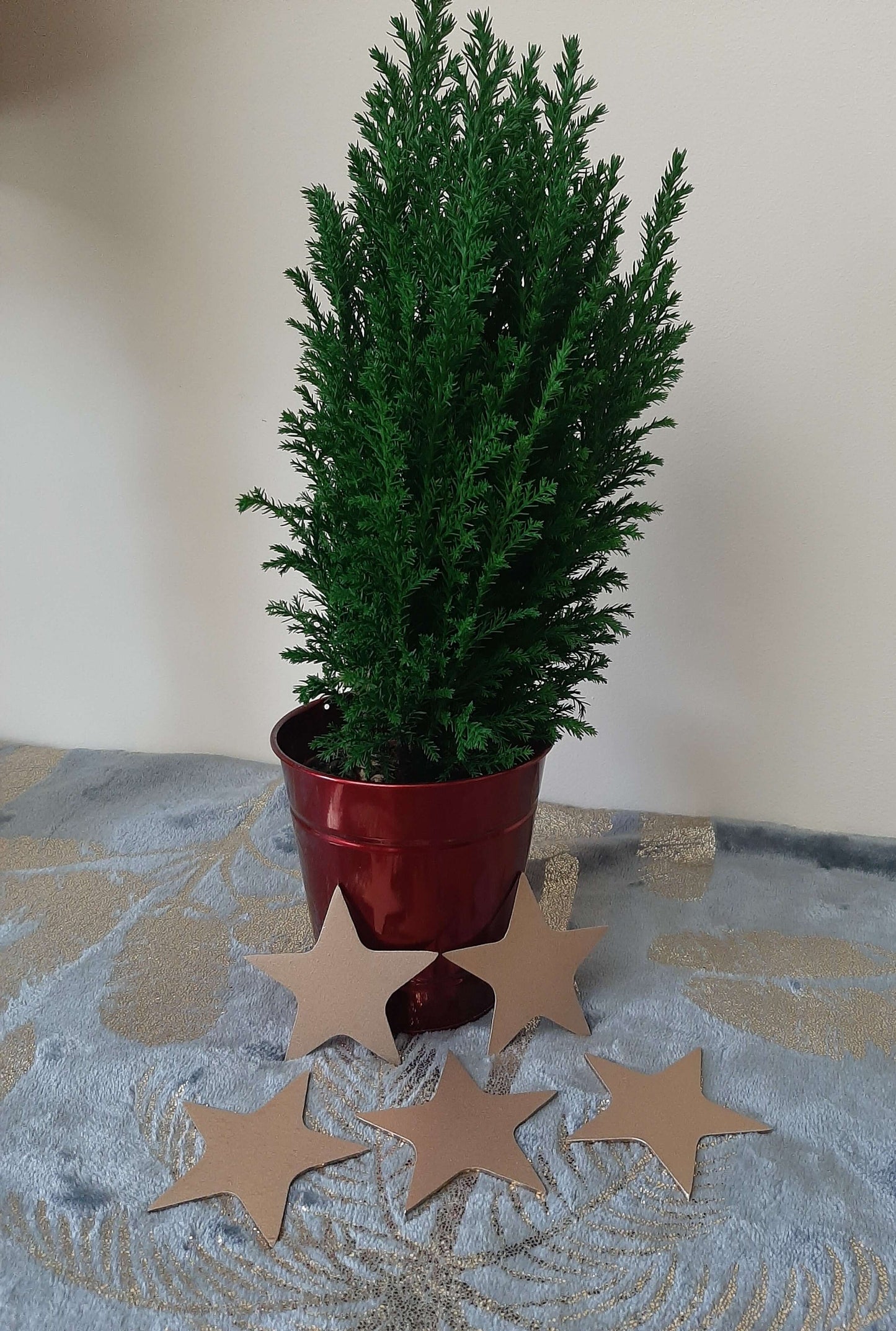 Gold Painted Metal STARS x 5 Home & Garden Ornament. Metal STAR Home Decoration. Gold Painted Steel Home Art Decor. Birthday Present Mother.