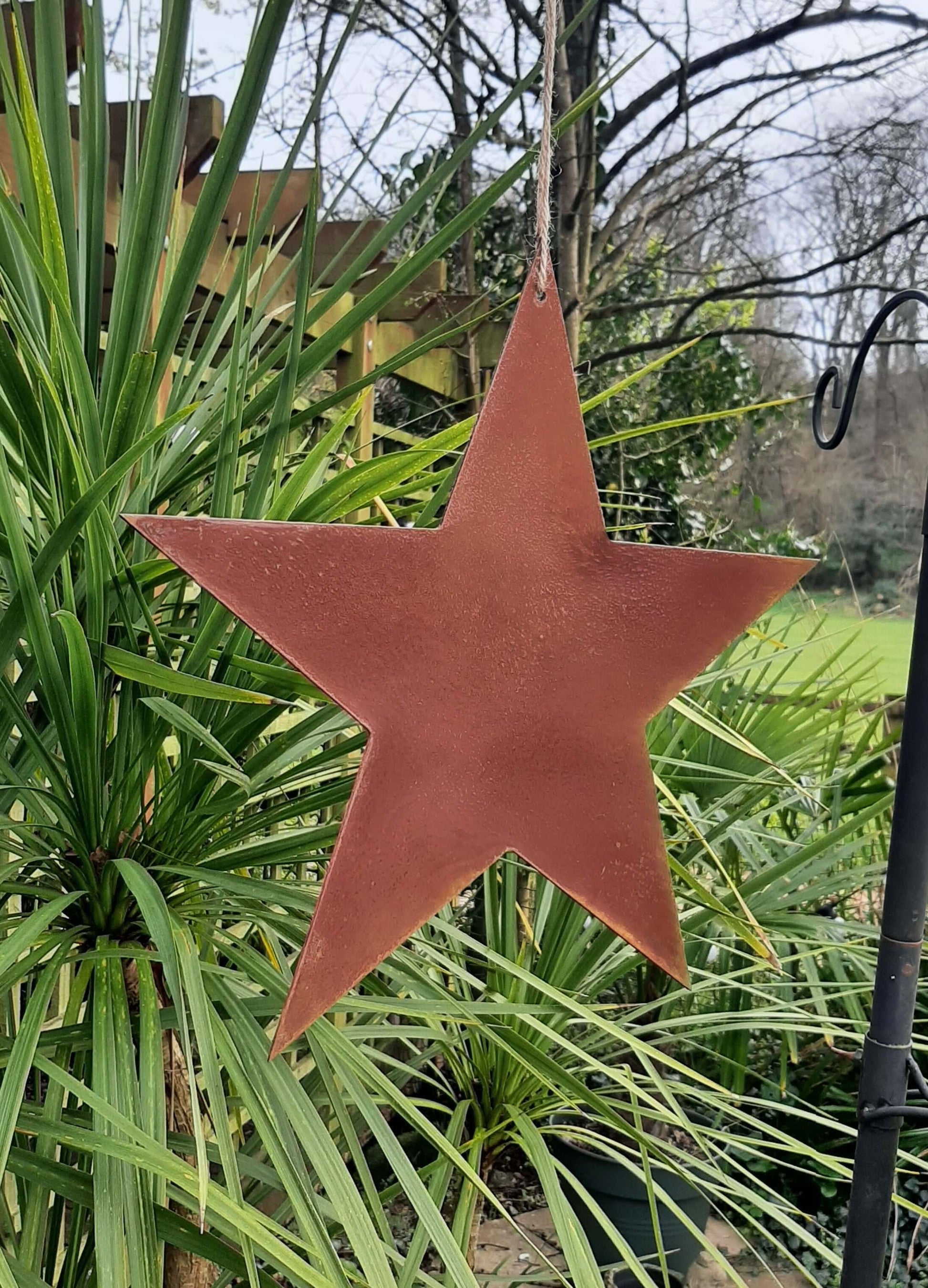 Rusty Metal STAR Garden Ornament  hanging among green plants