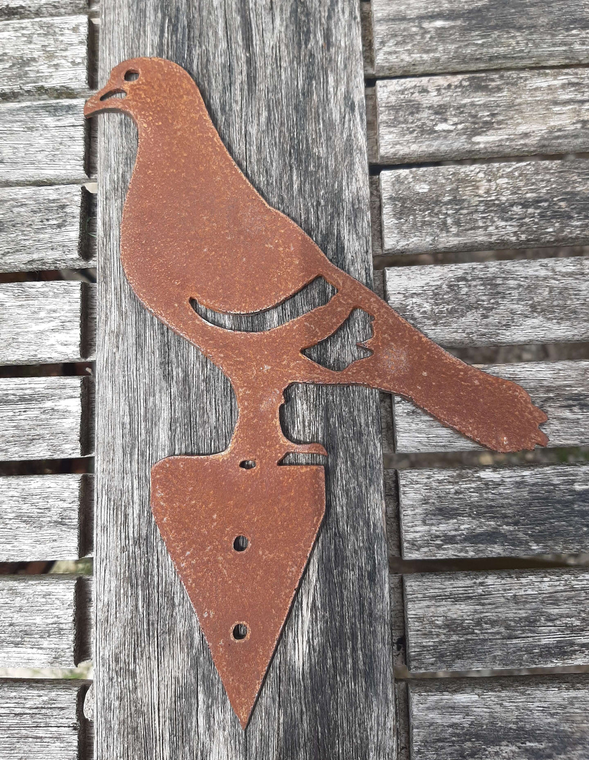 Rusted Steel PIGEON Garden Ornament on wooden surface, rustic metal bird decoration for garden use.