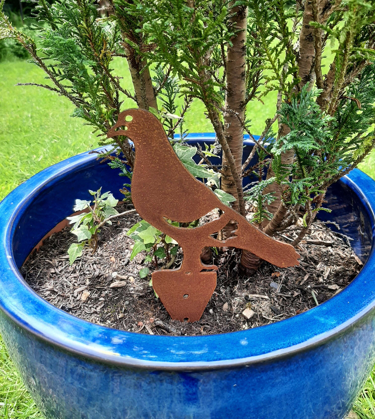 Rusted Steel PIGEON Garden Ornament in a blue pot, adding rustic charm to the garden decoration.