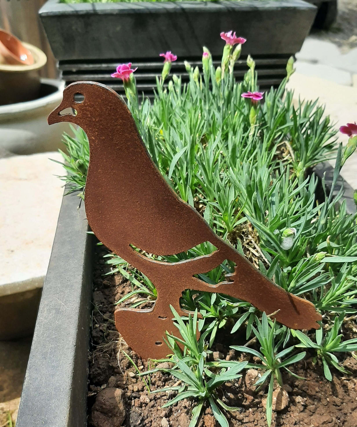 Rusted Steel PIGEON Garden Ornament standing among green plants in a garden setting, showcasing rustic charm and unique design.