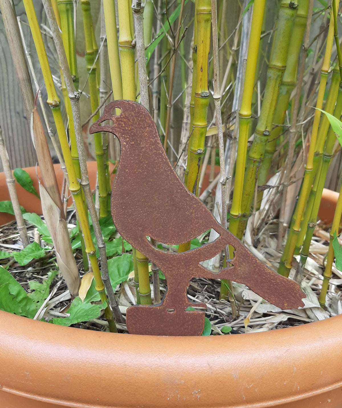 Rusted Steel PIGEON Garden Ornament placed in a terracotta pot with green plants and bamboo.