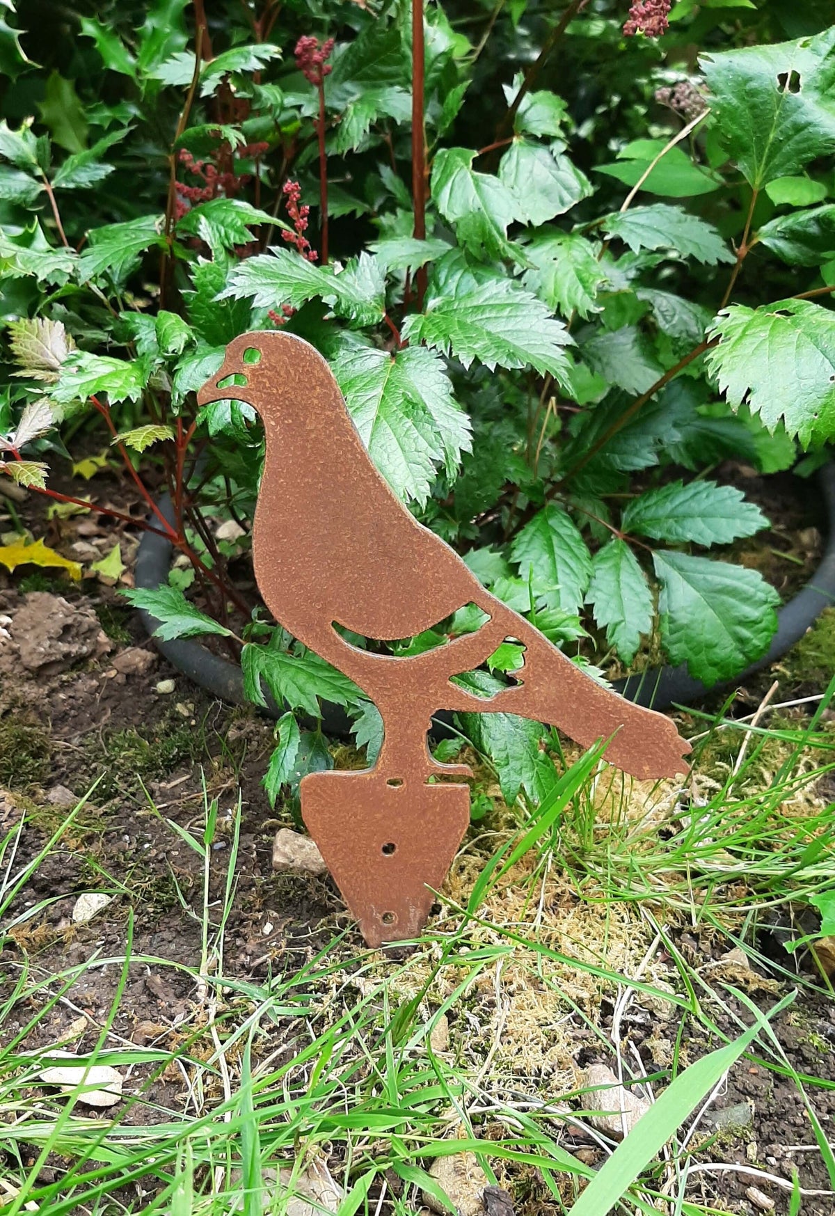Rusted Steel PIGEON Garden Ornament standing in lush garden greenery as a decorative ground spike.