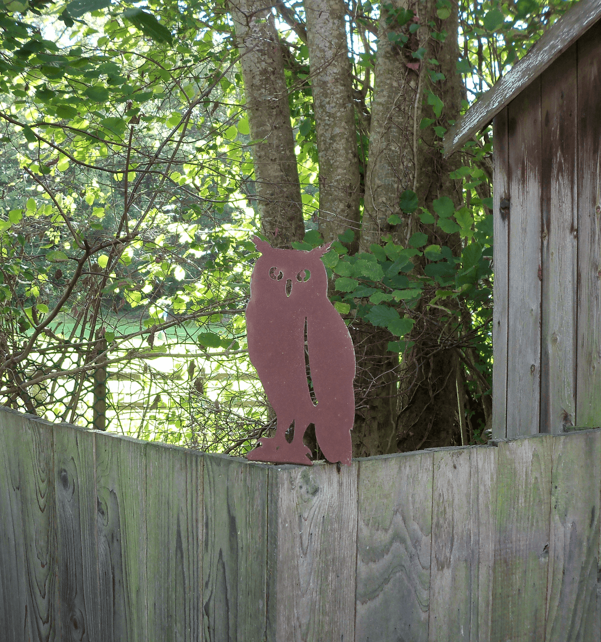Rustic Steel OWL Garden Ornament perched on fence, adding charm to the garden with its unique rusted finish.