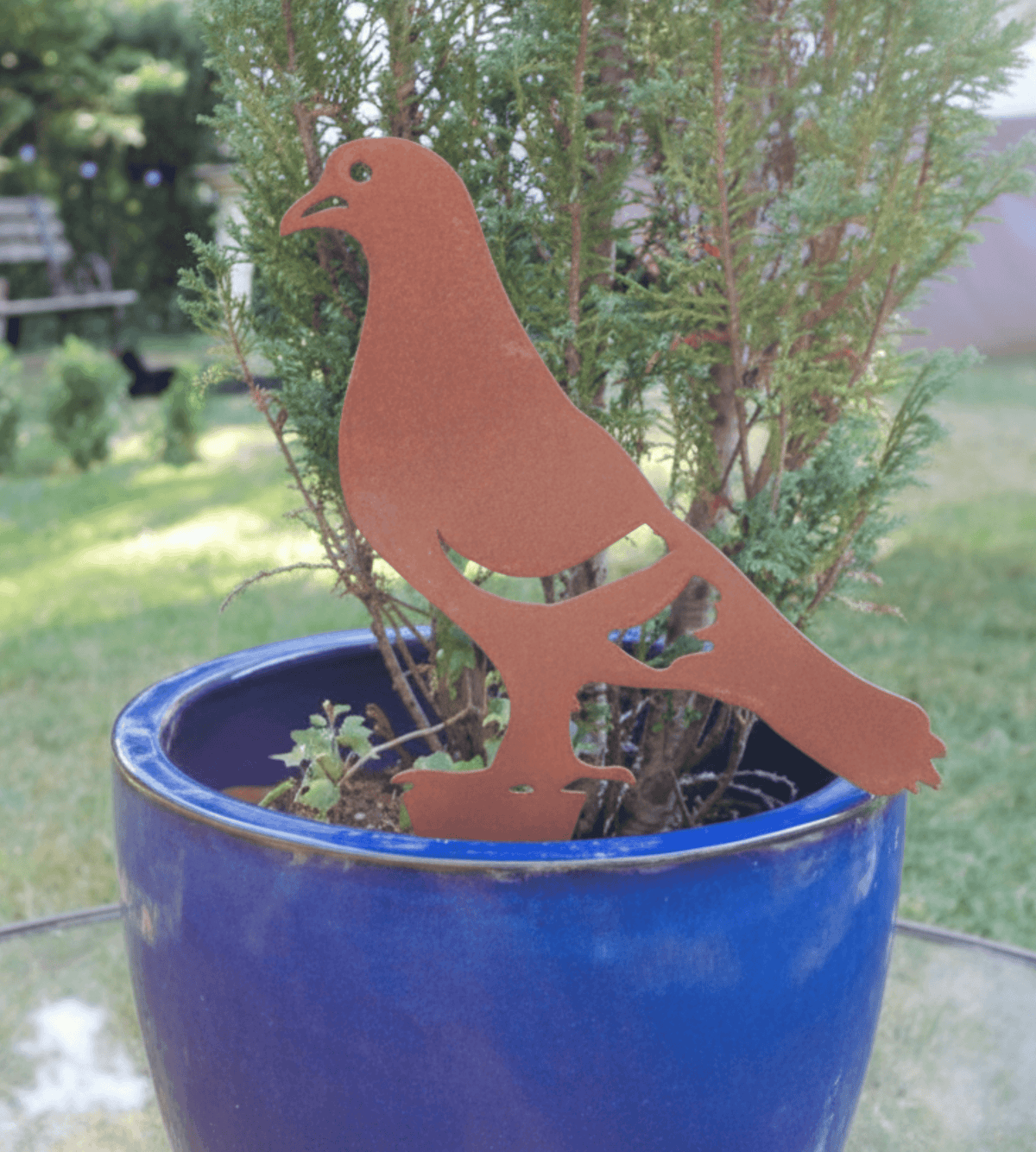 Rusty Steel PIGEON Garden Ornament displayed in a blue pot, adding rustic charm to the garden.