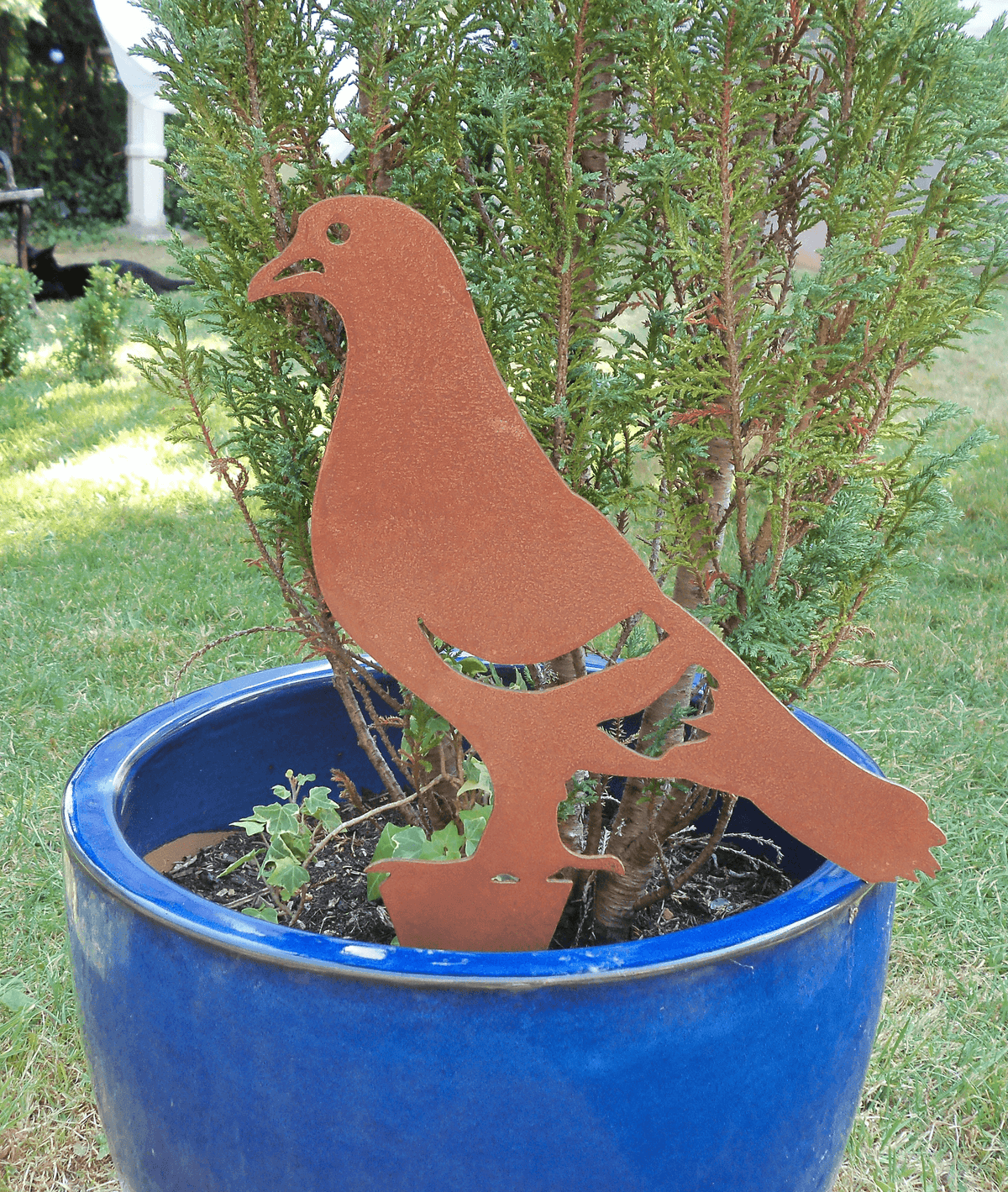Rusty Steel PIGEON Garden Ornament displayed in a blue plant pot, adding rustic charm to the garden.