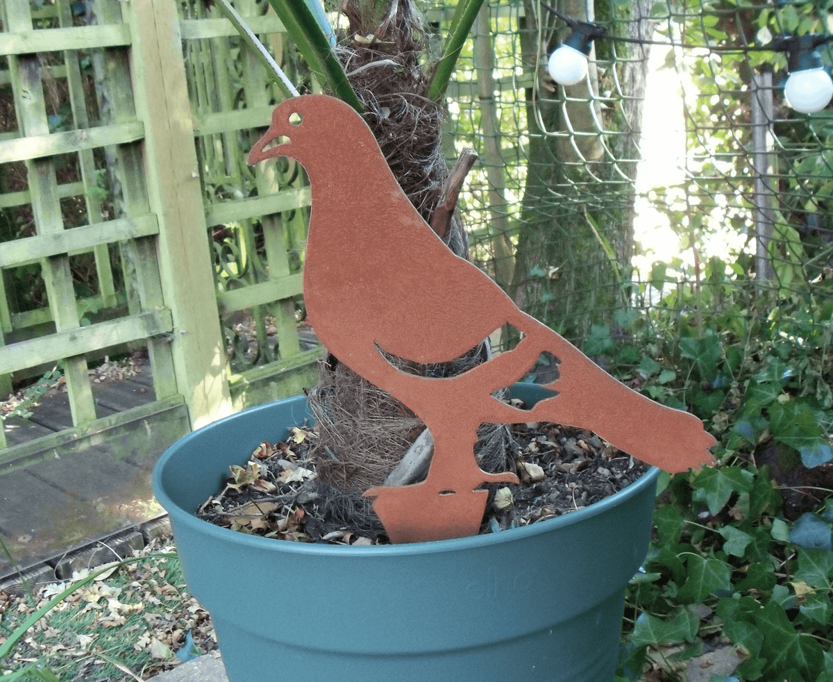 Rusty Steel PIGEON Garden Ornament displayed in a pot, showcasing unique rusted finish and rustic character.