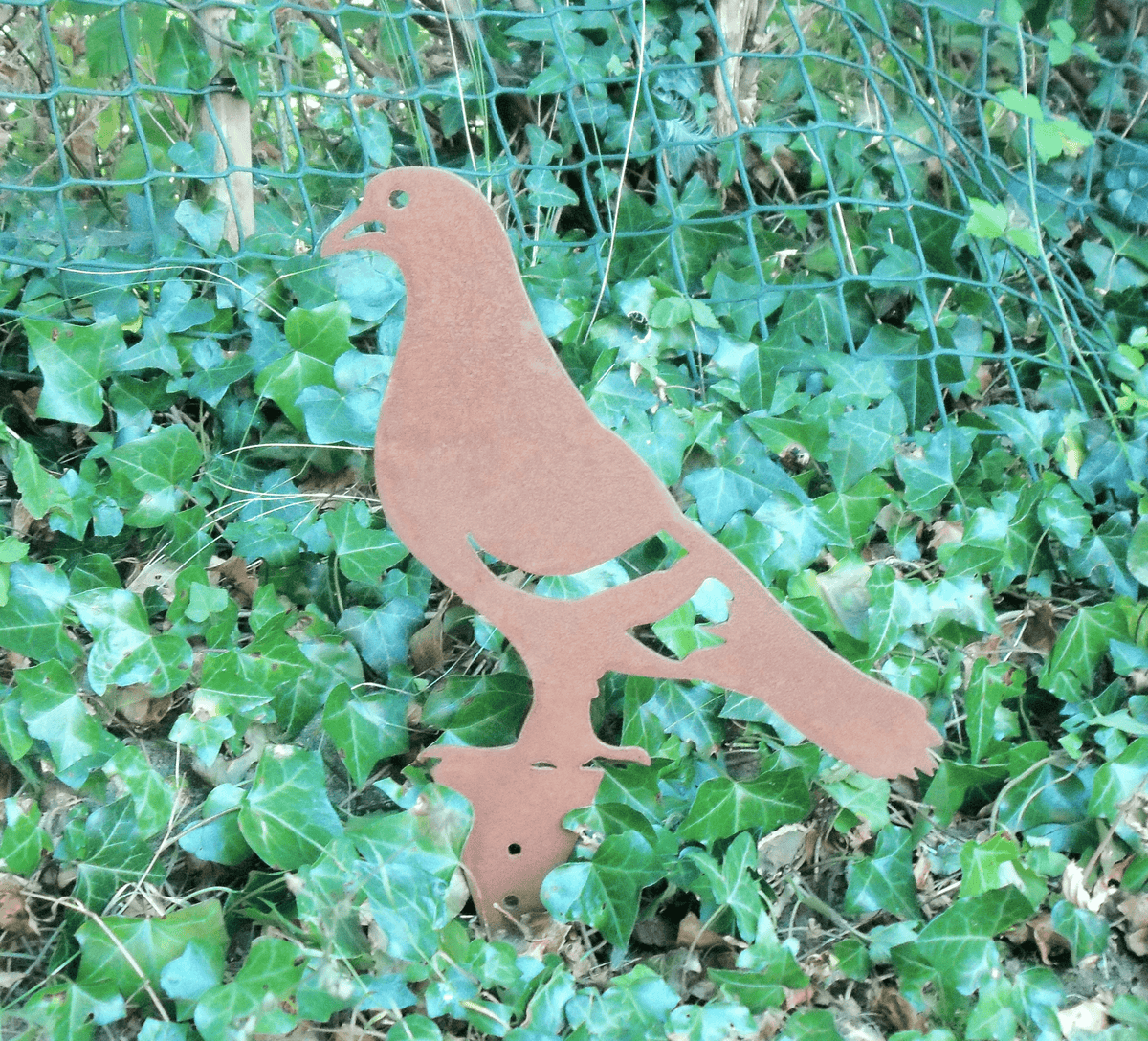 Rusty Steel PIGEON Garden Ornament standing among green ivy, showcasing unique rustic design.