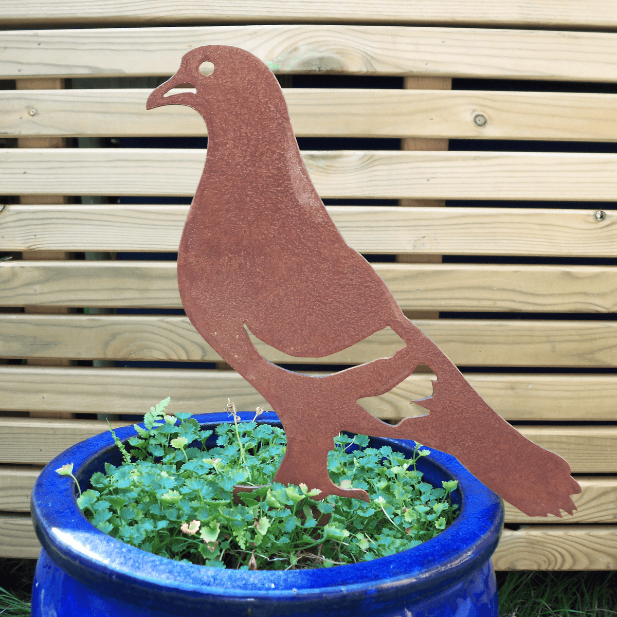 Rusty Steel PIGEON Garden Ornament in a blue pot with green plant, showcasing unique rusted finish and rustic charm.