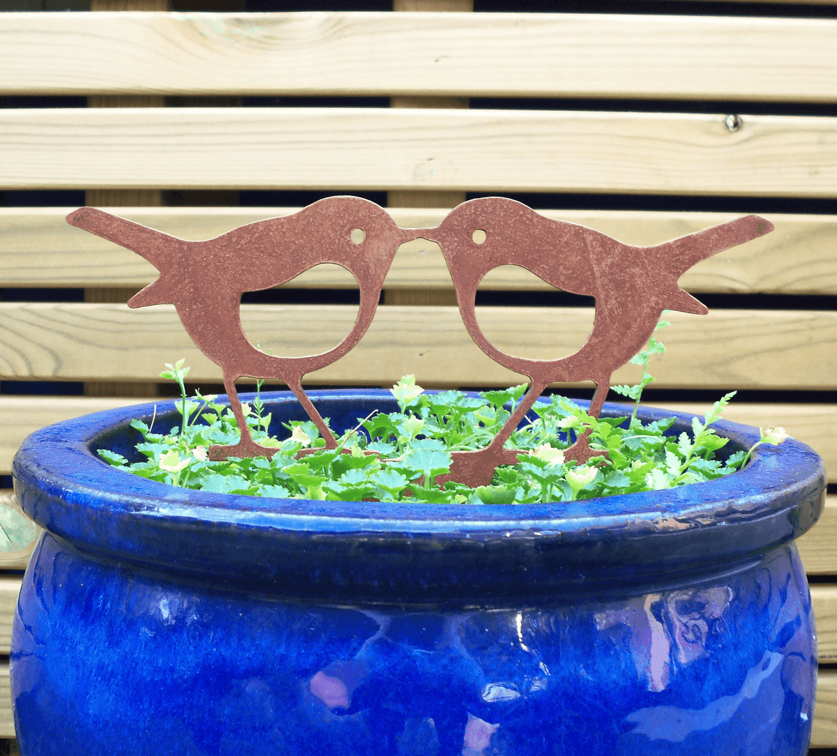 Rusty steel kissing robins garden ornament displayed in a blue pot with greenery, adding rustic charm to the garden.