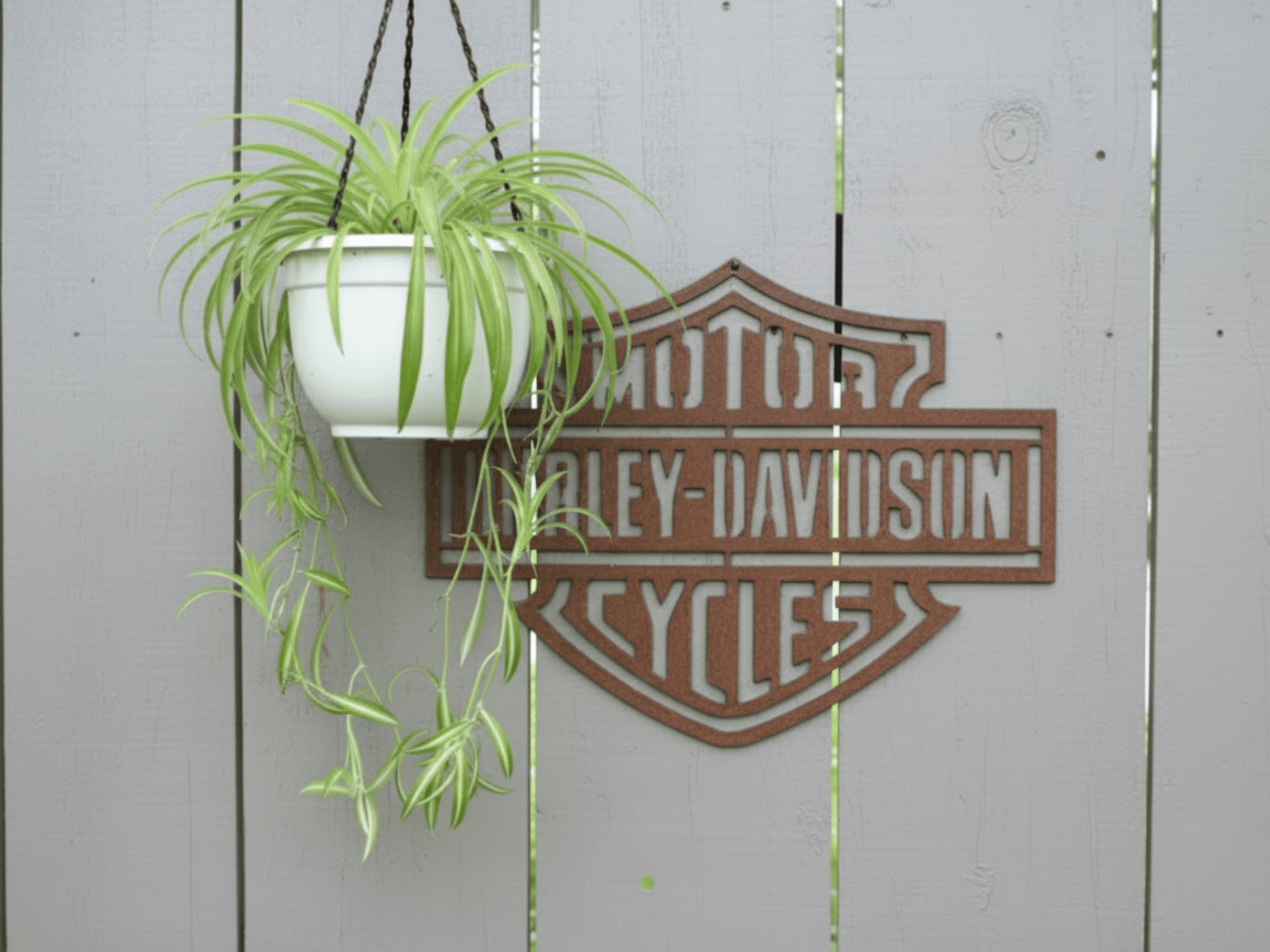 Rustic Metal Harley Davidson Motorcycle Badge Sign on a grey wooden wall with a hanging plant.