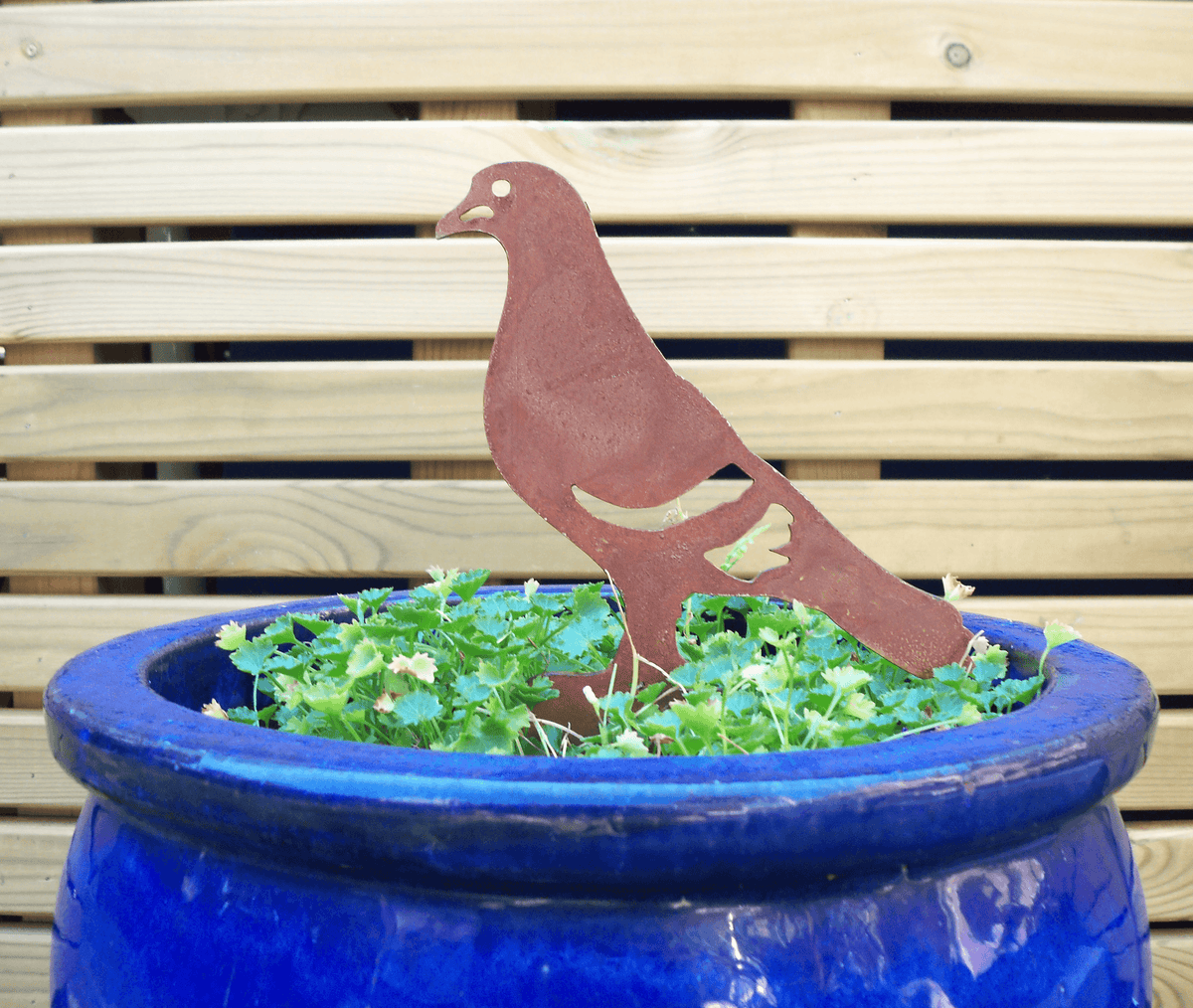 Rusted Steel PIGEON Garden Ornament displayed in a blue pot with green plants, adding rustic charm to garden decor.