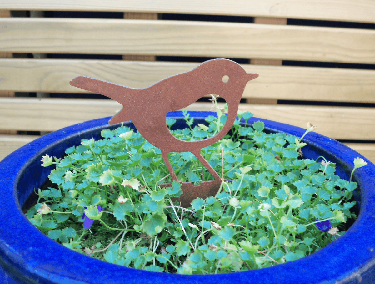 Rusty Steel Robin Garden Ornament in a blue pot filled with greenery, adding rustic charm to the garden.