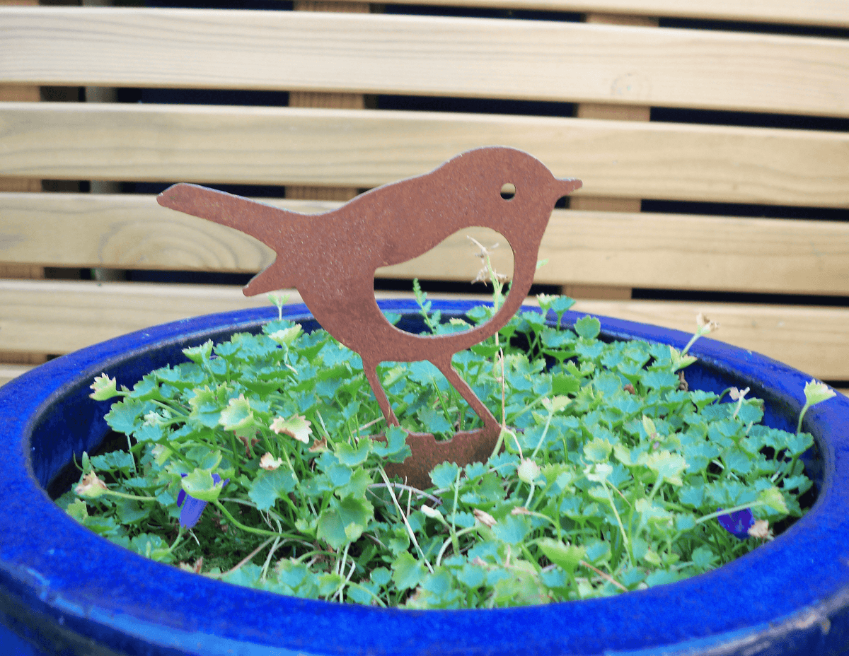 Rusty Steel Robin Garden Ornament in a blue plant pot, surrounded by greenery, adding rustic charm to the garden.