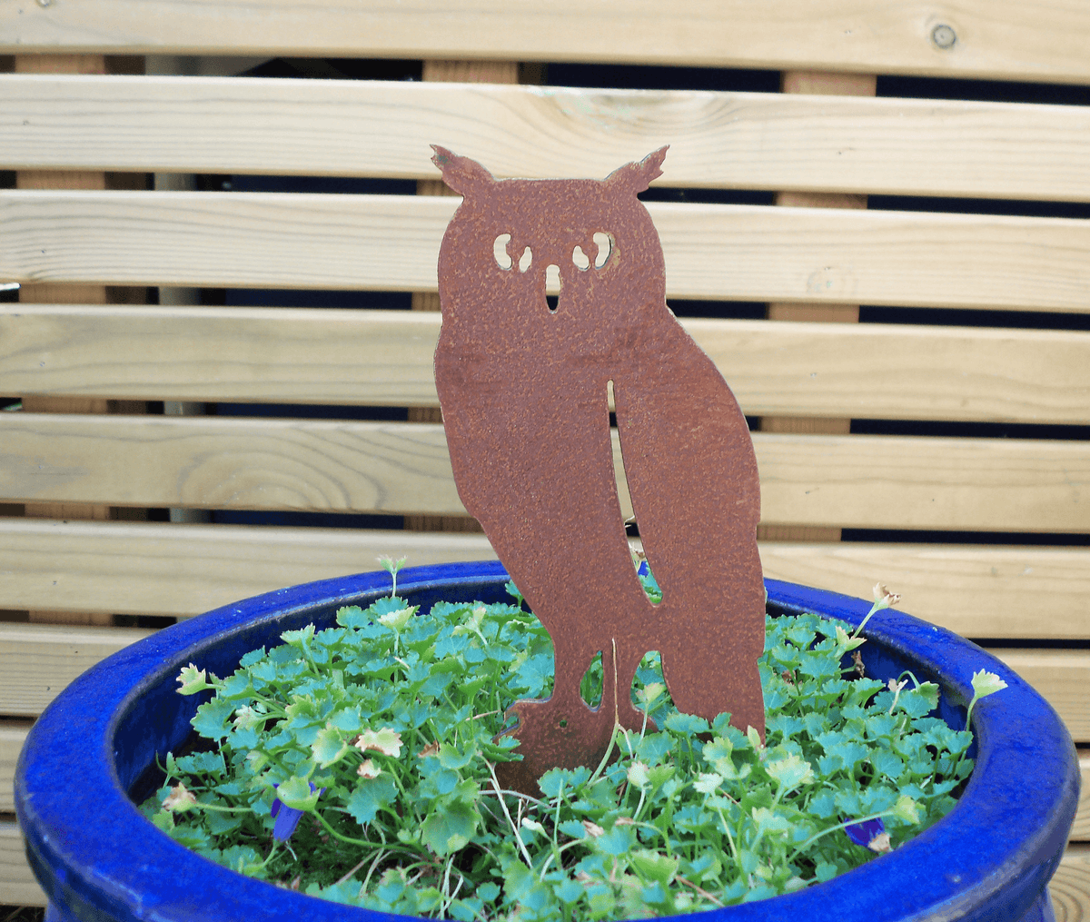 Rusted steel owl garden ornament in a blue pot with green plants, adding rustic charm to any garden.
