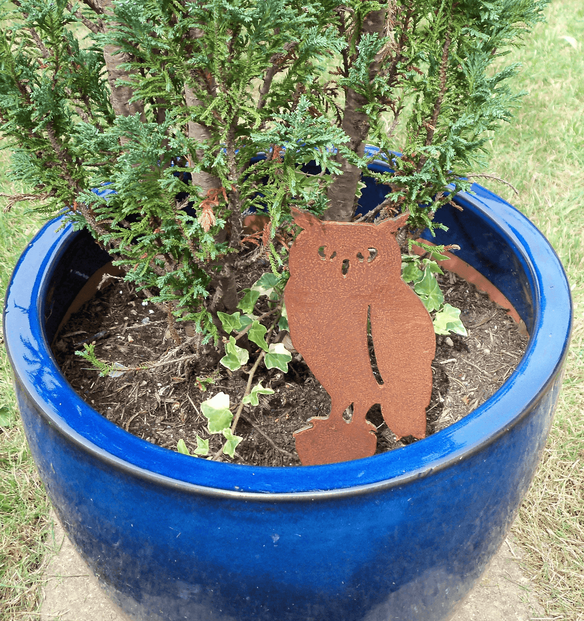 Rustic Rusted Steel Owl Garden Ornament displayed in a blue pot with greenery and ivy.