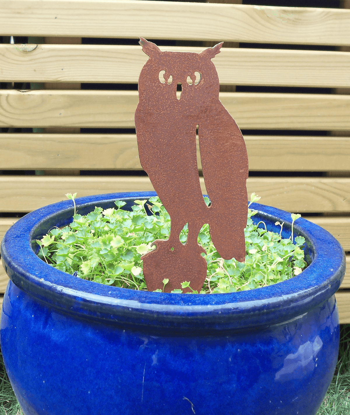 Rusted Steel Owl Garden Ornament in a blue pot with green plants, adding rustic charm to garden decor.