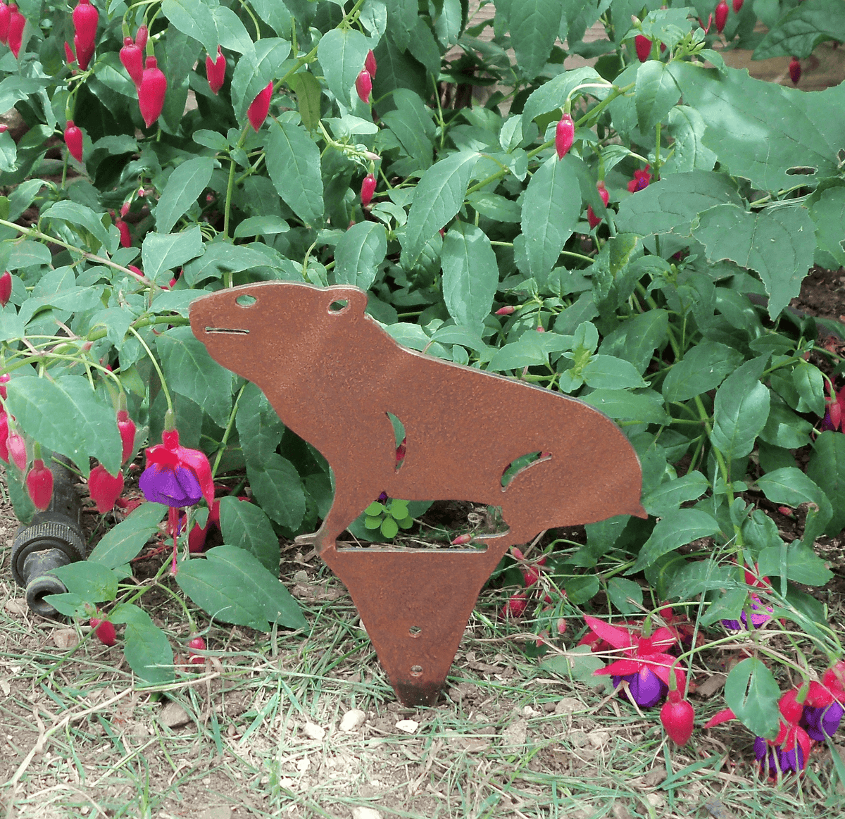 Rusty Steel HAMSTER Garden Ornament placed among vibrant flowers, adding rustic charm to the garden.