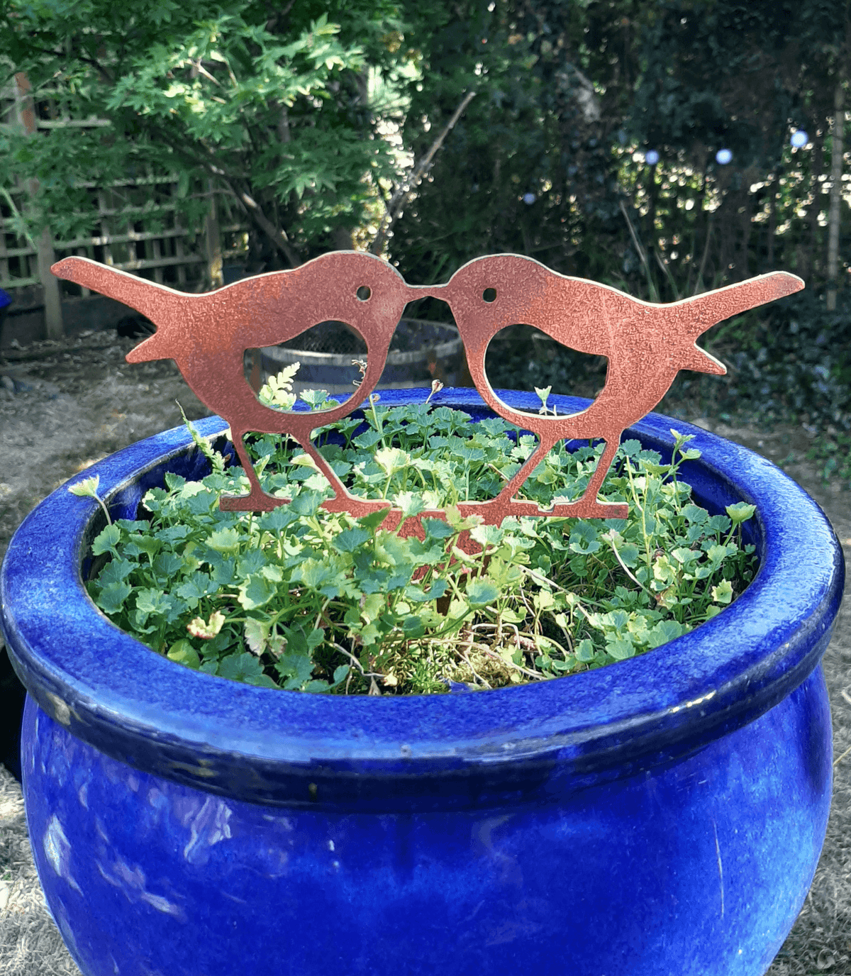 Rusty steel kissing robins garden ornament atop a blue pot with greenery, adding rustic charm to the garden decor.