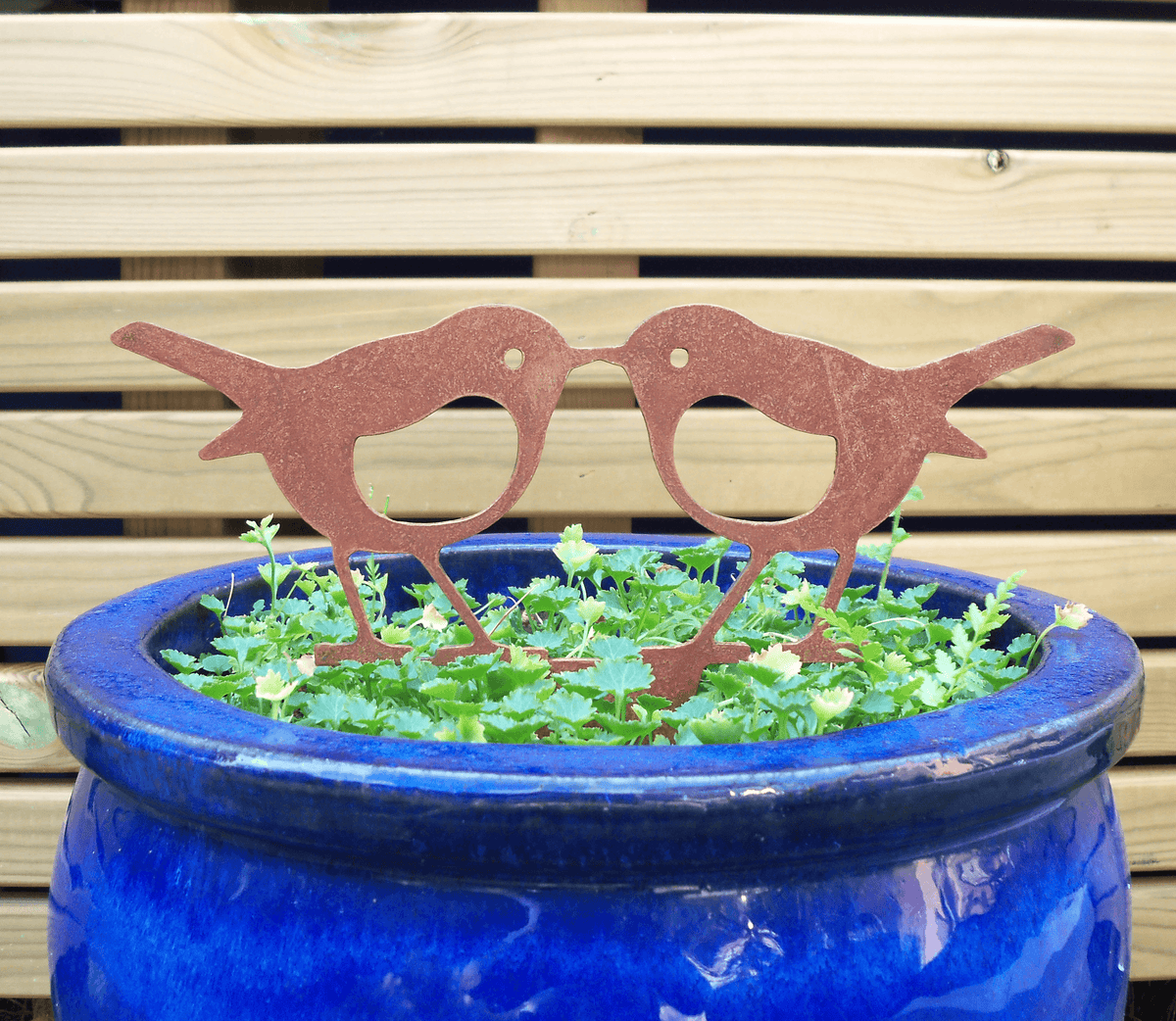 Rusty steel kissing robins garden ornament displayed in a blue pot with green plants, adding rustic charm to the garden.