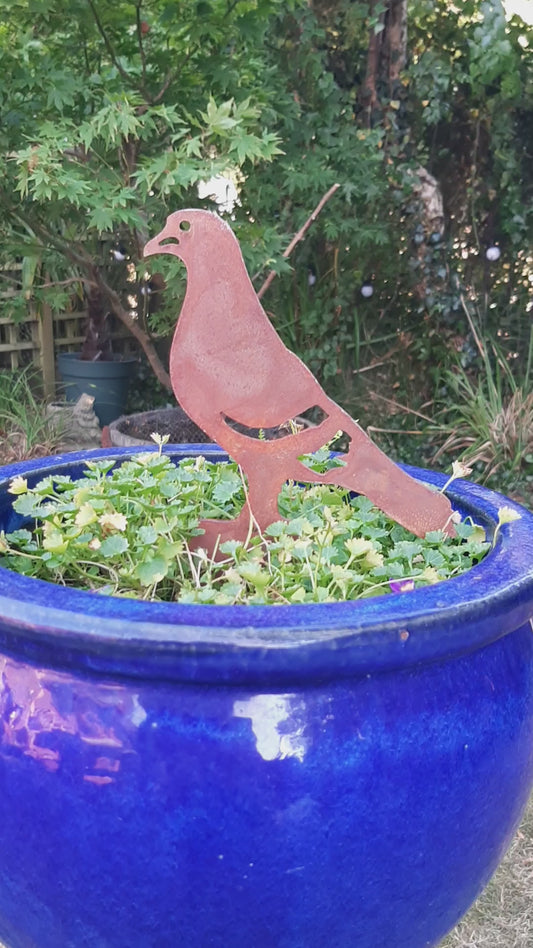 Rusted Steel PIGEON Garden Ornament - Rustic Metal Bird Decoration - Ground / Pot Spike or Fence Post Topper.