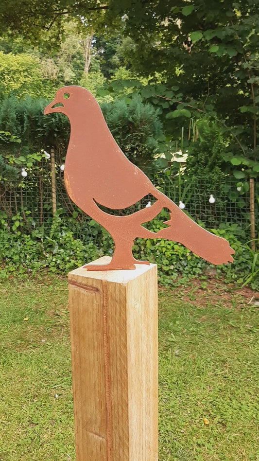 Rusty Steel PIGEON Garden Ornament - Large Rustic Metal Bird Decoration - Fence Post Topper or Ground/Pot Spike