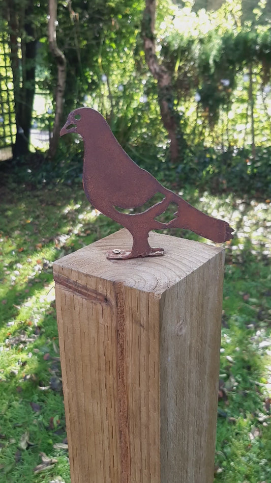 Rusted Steel PIGEON Garden Ornament - Rustic Metal Bird Decoration - Fence Post Topper or Ground / Pot Spike